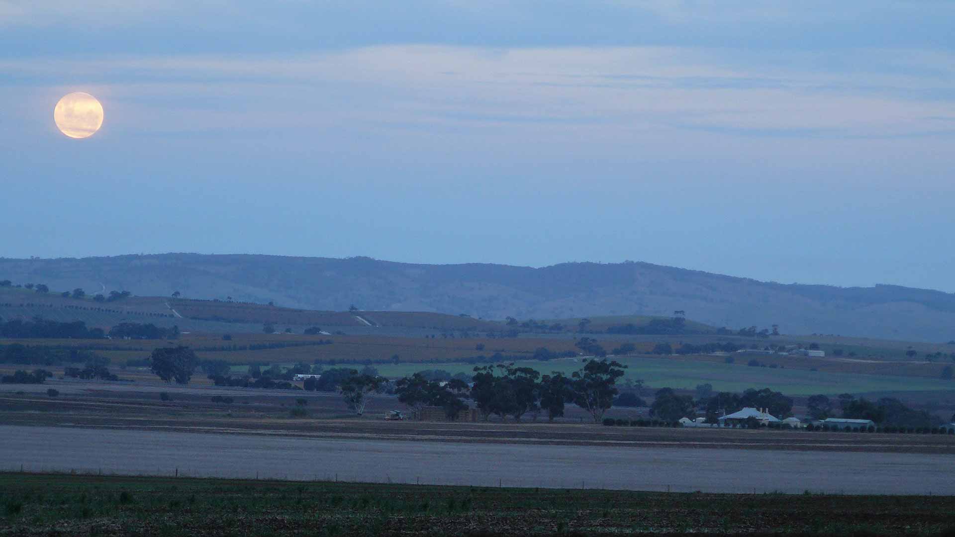 Freeling Light Country, South Australia